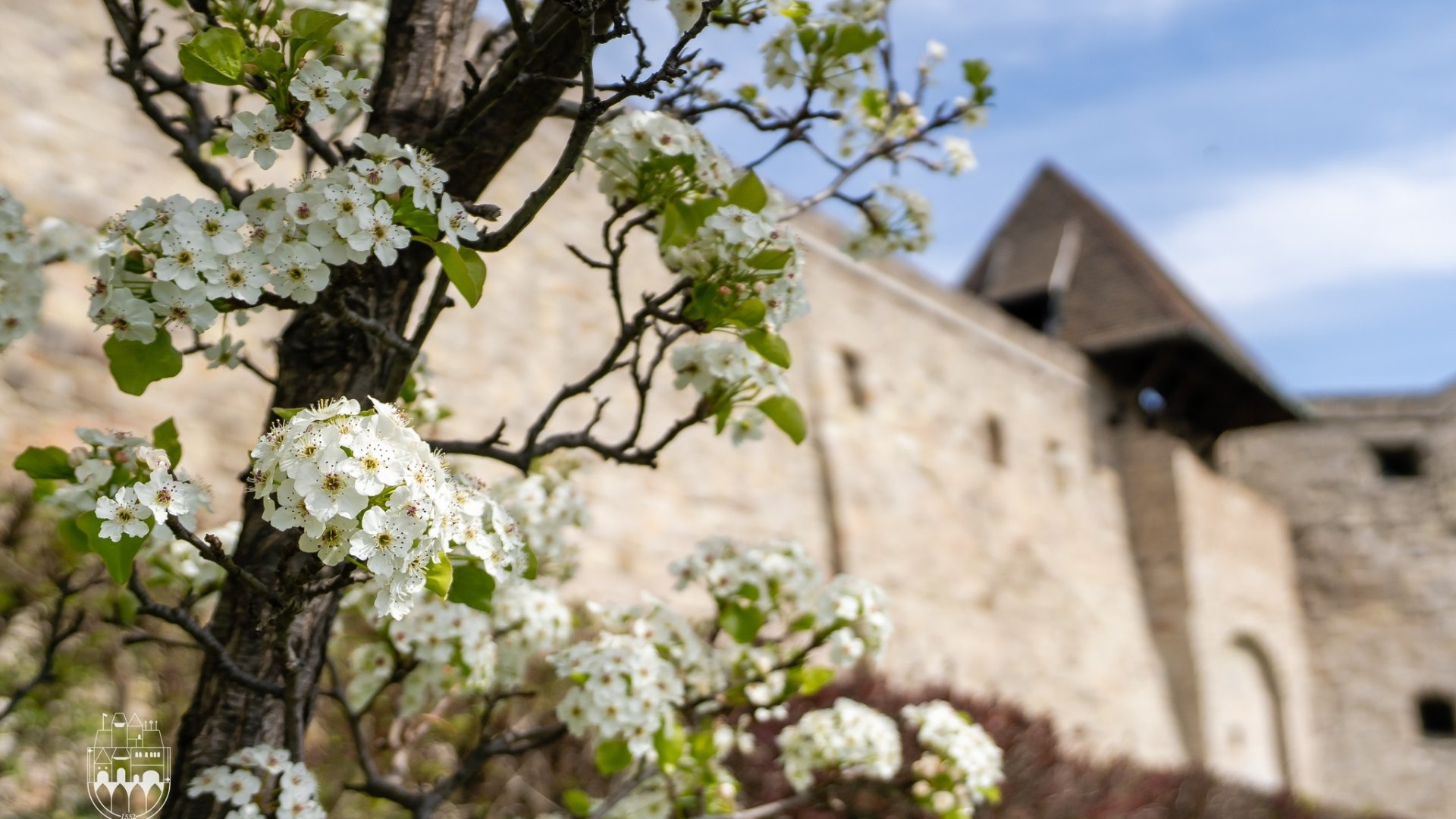 Tavasz Egerben: 3 kihagyhatatlan látnivaló a virágzó barokk városban